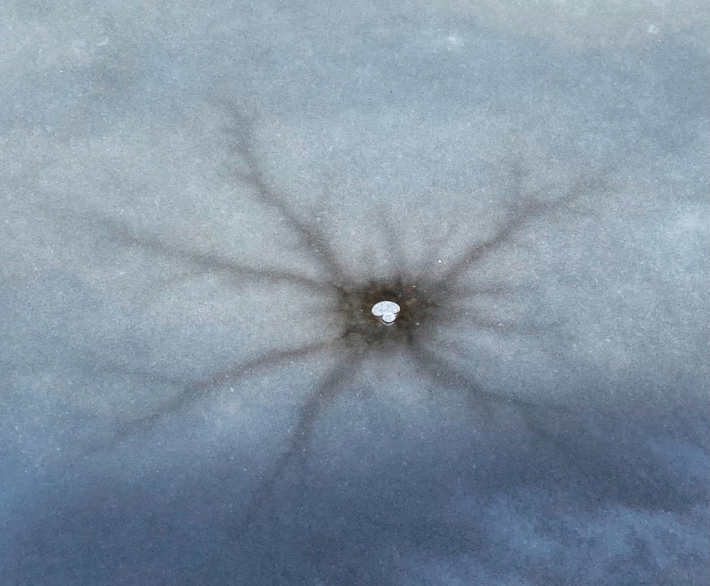 Tuesday Tunes – Comfortably&nbsp;Numb