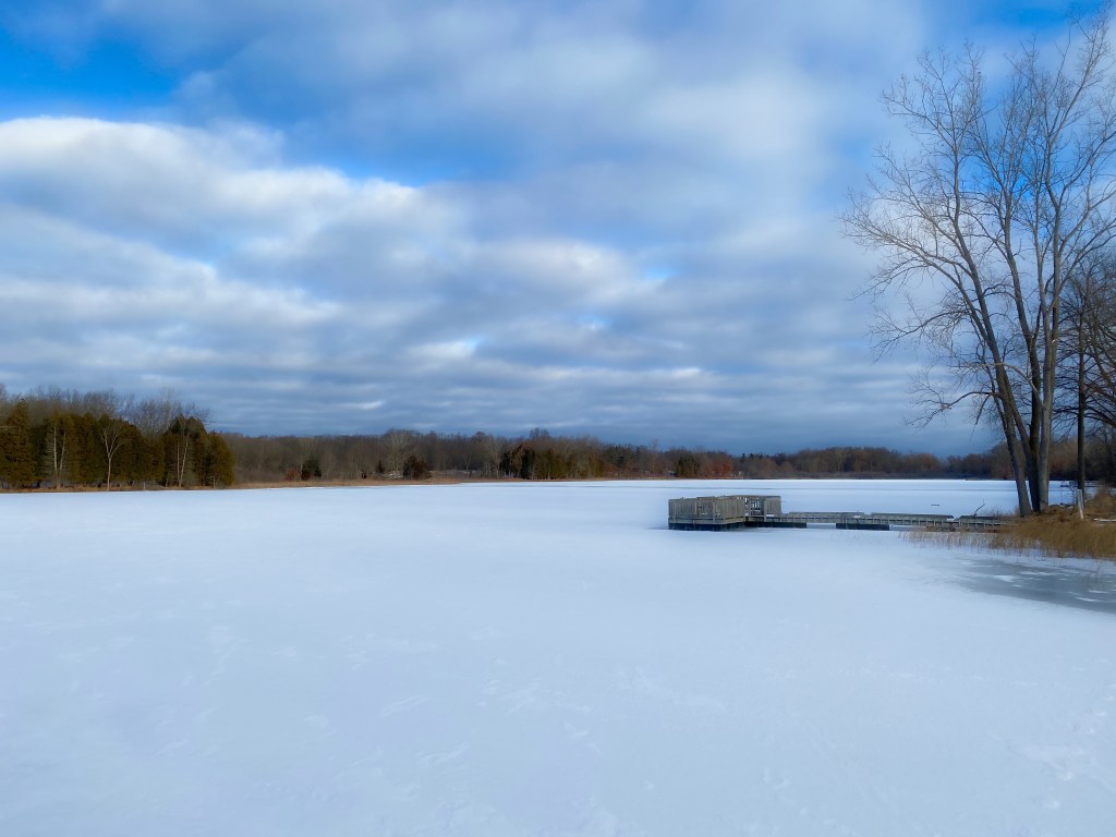 The Week In Seven Photos