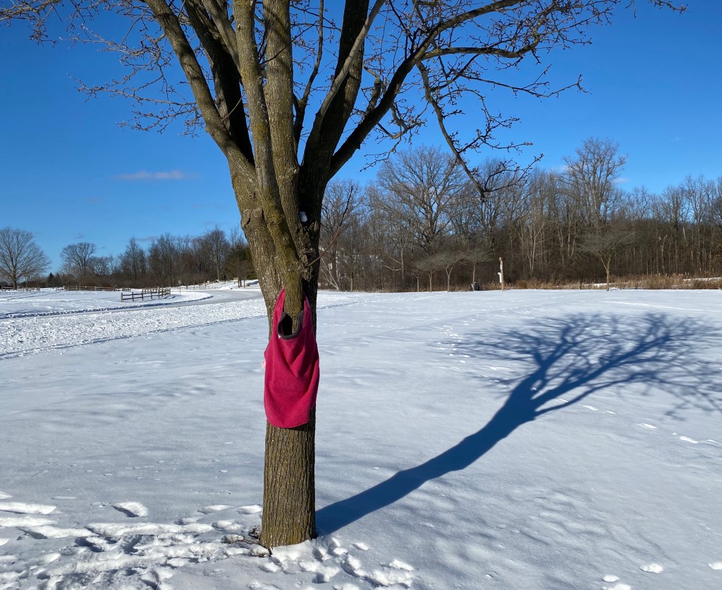 Six Word Story&nbsp;#36