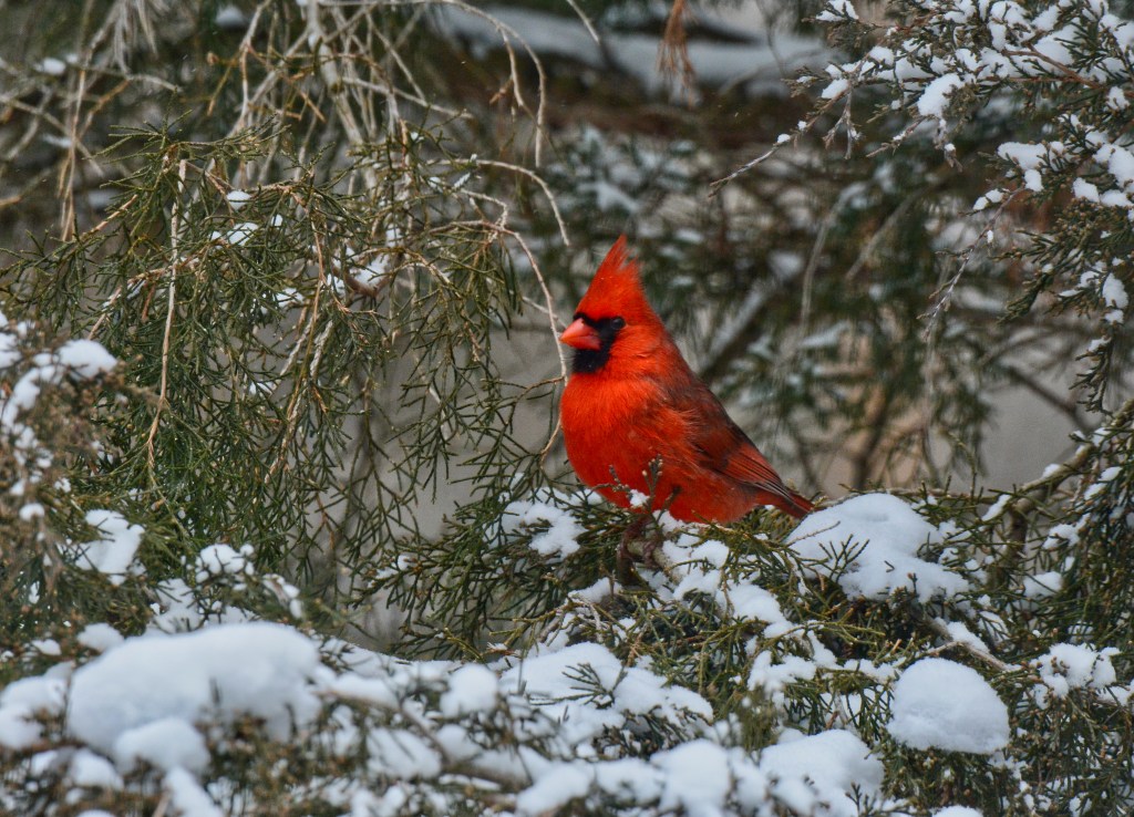 The Week In Seven&nbsp;Photos