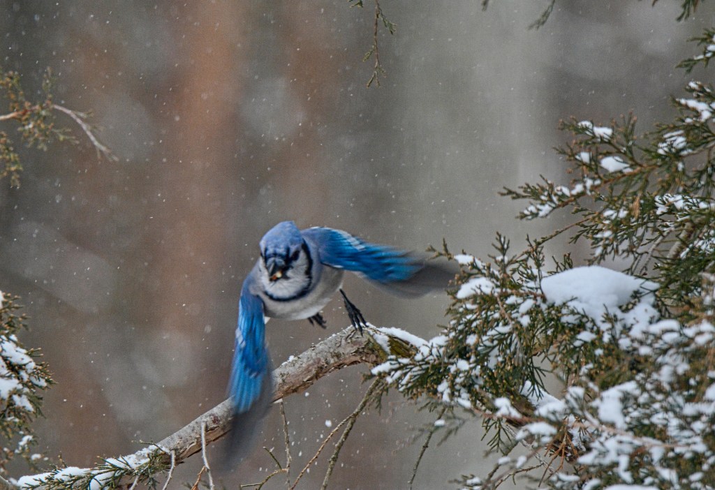 Tuesday Tunes – Touch and&nbsp;Go