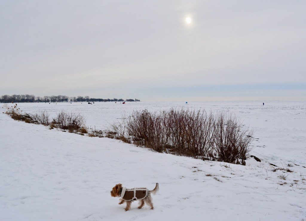 Saturday Songs – I’m&nbsp;Walkin’