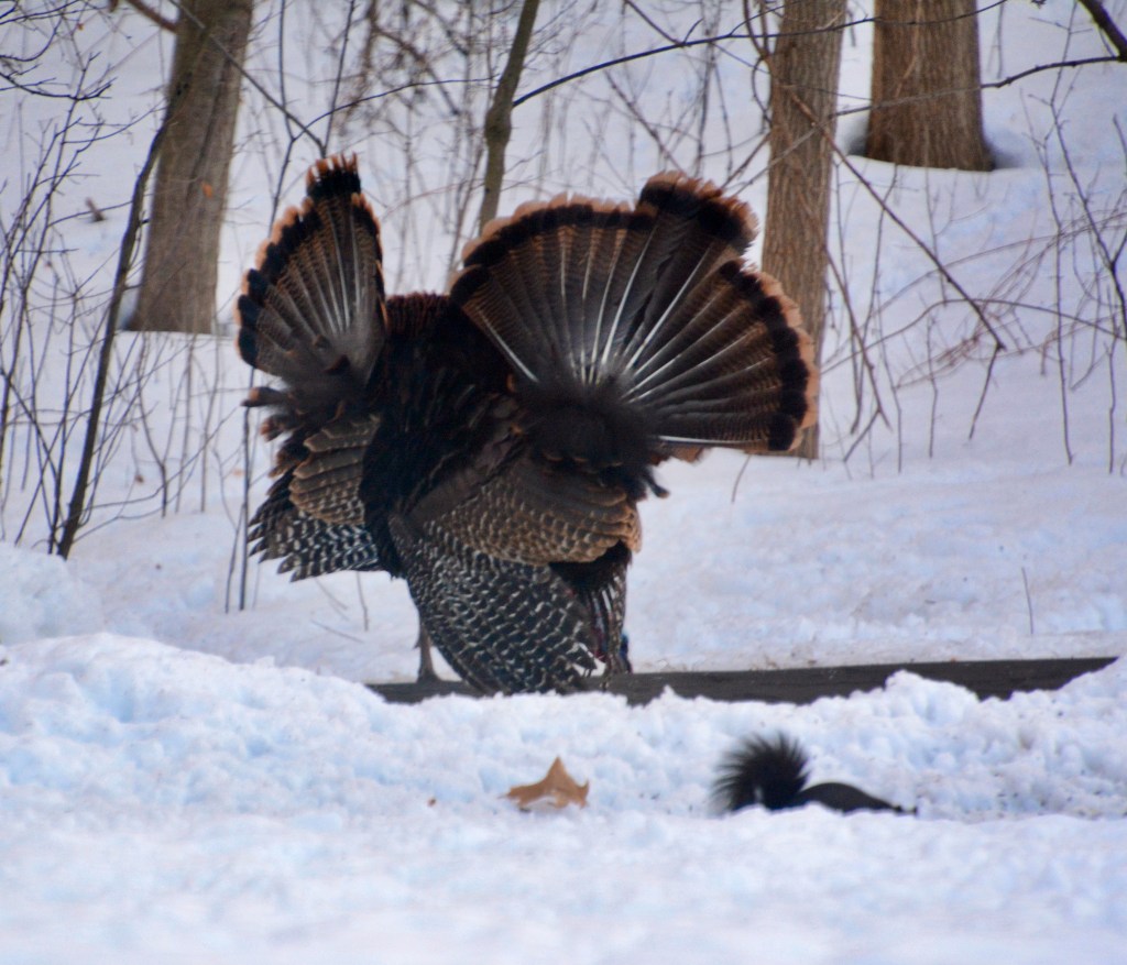 The Week In Seven&nbsp;Photos