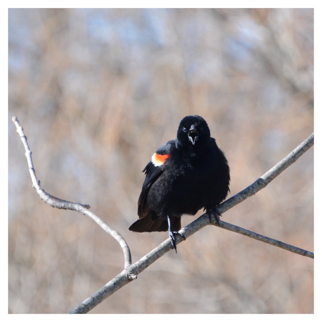 Ooh ooh ooh ooh ooh Ooh ooh ooh ooh&nbsp;ooh