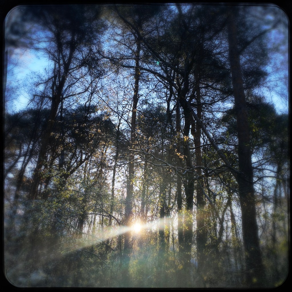 A Favorite Breakfast Combo: Sunrise And&nbsp;Coffee