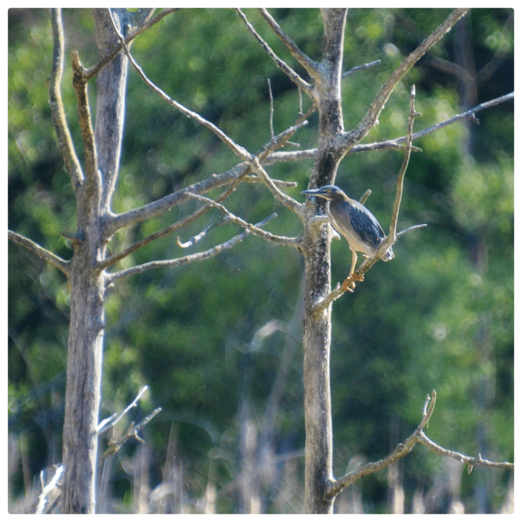 The Week In Seven&nbsp;Photos