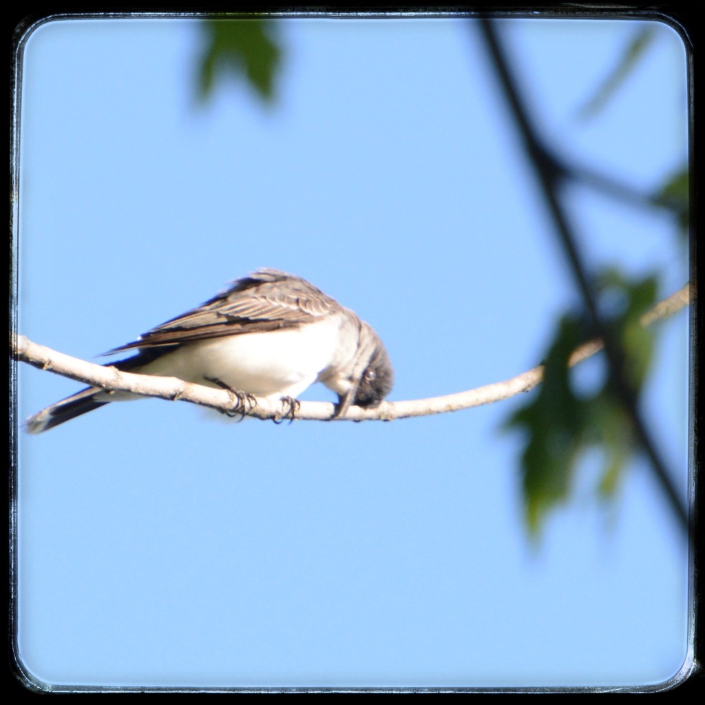 One Of Those&nbsp;Days