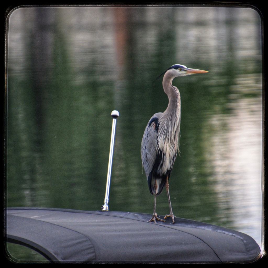 Recent Items Of&nbsp;Interest