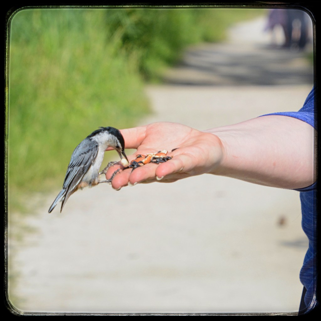 The Week In Seven&nbsp;Photos