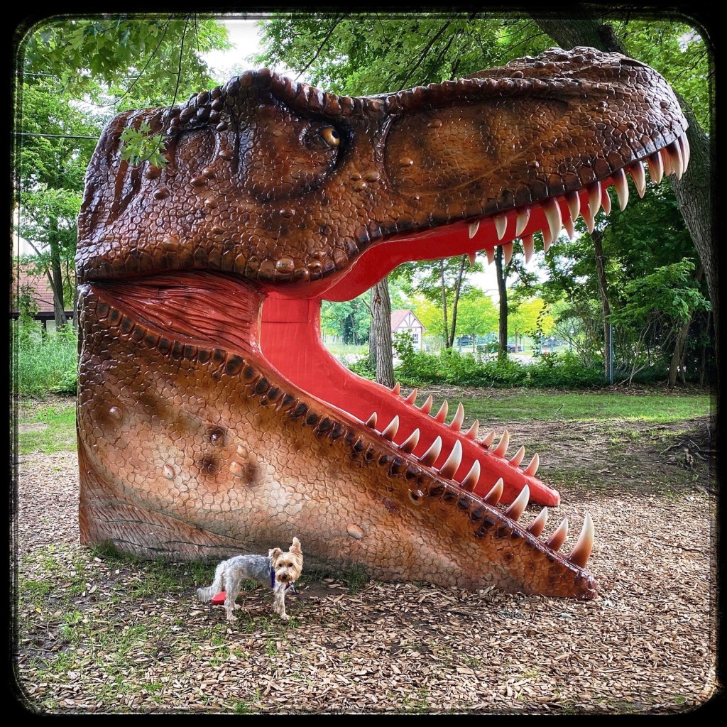 Recent Items Of&nbsp;Interest