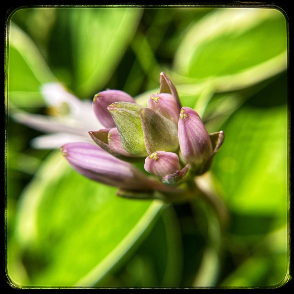 The Week In More Than Seven&nbsp;Photos