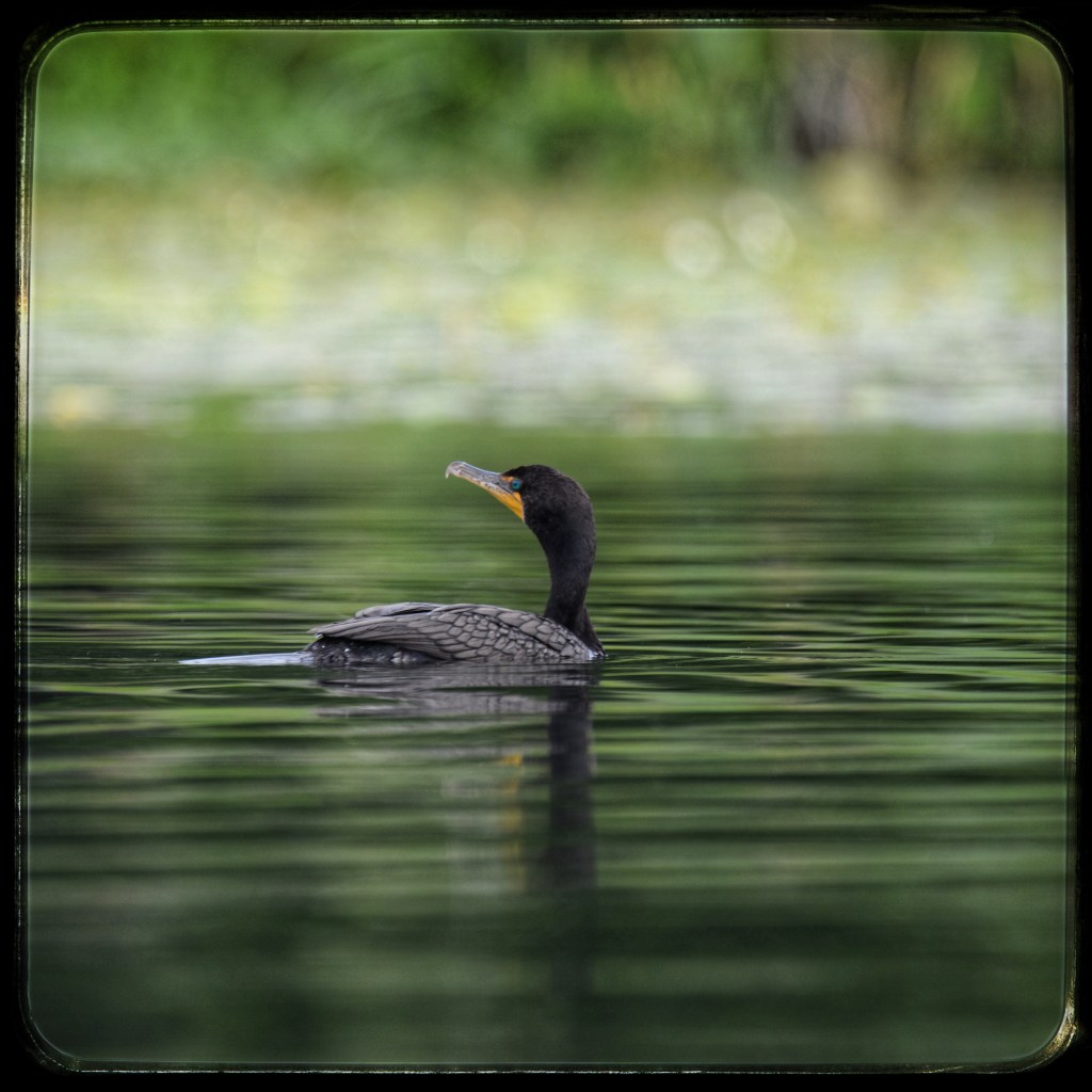 The Hours Drift&nbsp;Away