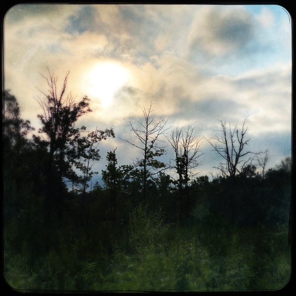 I’m Walking Through The&nbsp;Wilderness