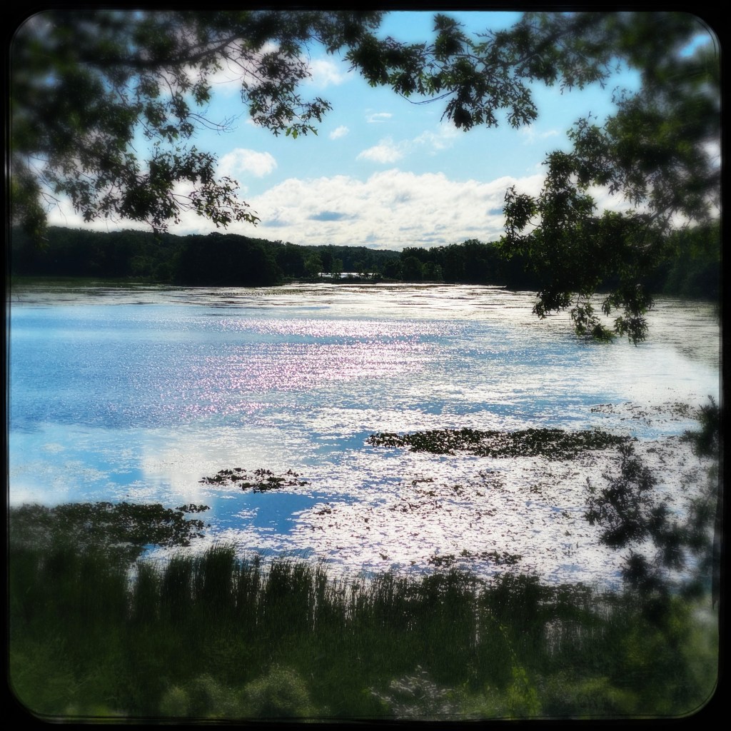 Where Those Healing Waters&nbsp;Flow