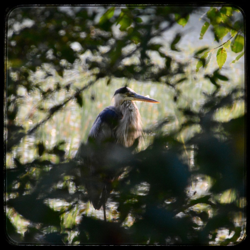 Waiting On A&nbsp;Friend