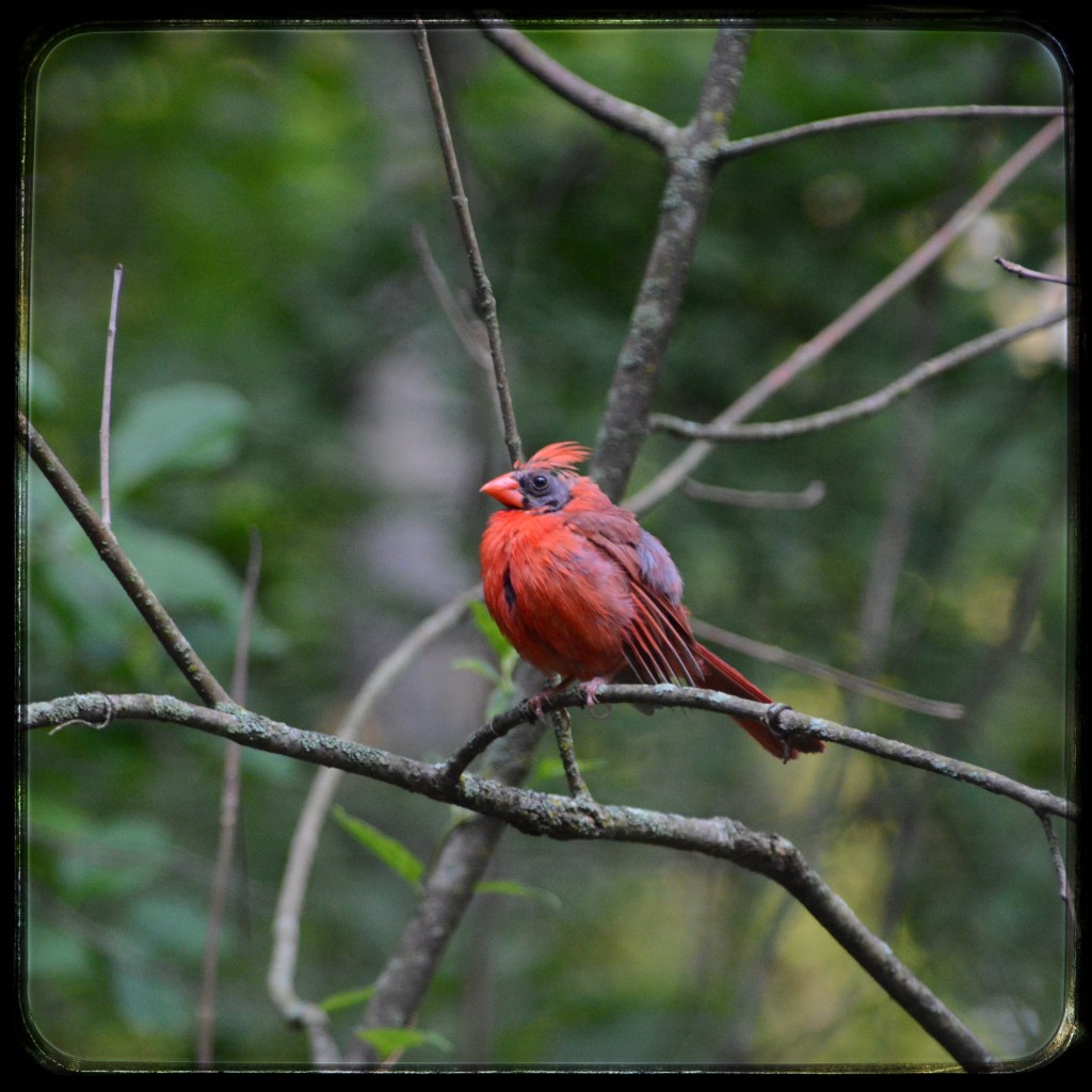 It’s All Too Beautiful At The&nbsp;Park