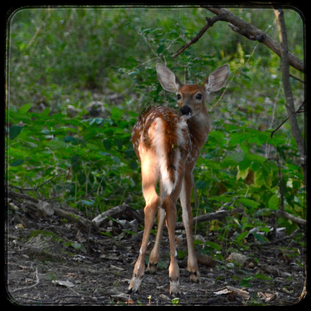 Tropical Weather Conditions Return