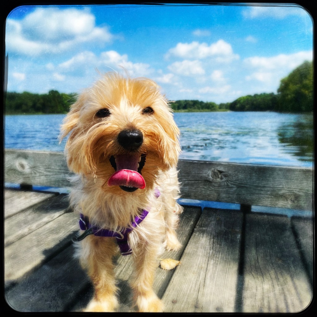 The Week In Seven&nbsp;Photos