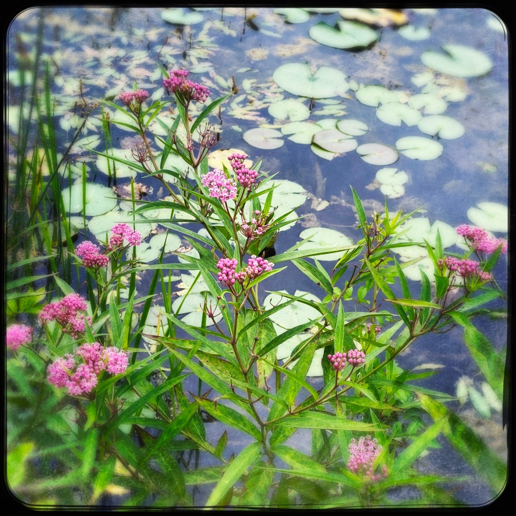 The Week In More Than Seven&nbsp;Photos