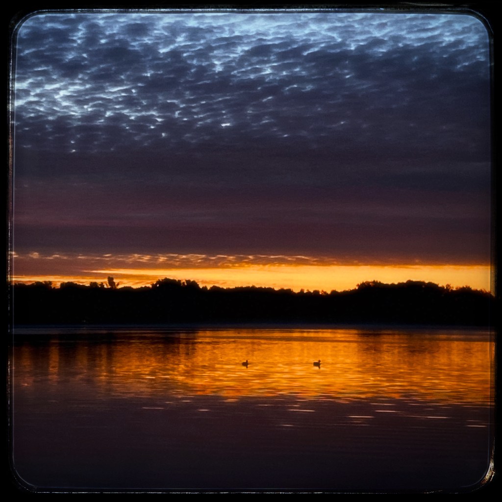 Tuesday Tunes – Gold Dust&nbsp;Woman