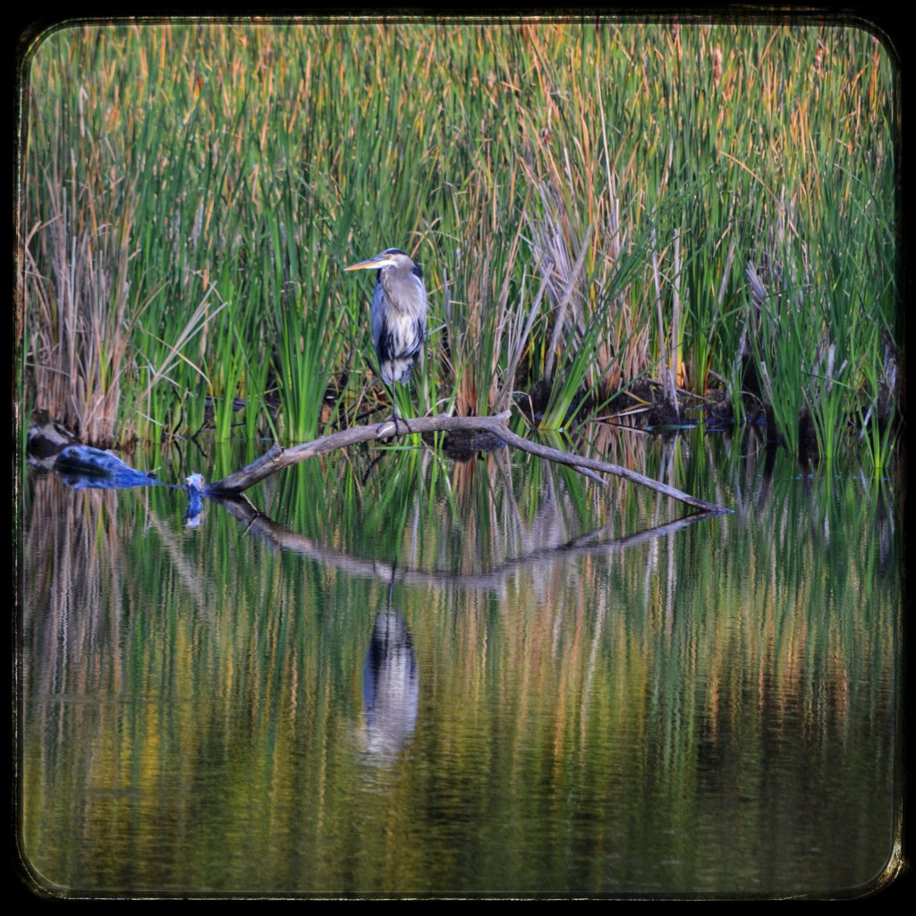 Remember That Sunny&nbsp;Day