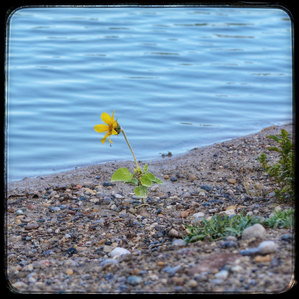 The Week In Seven&nbsp;Photos