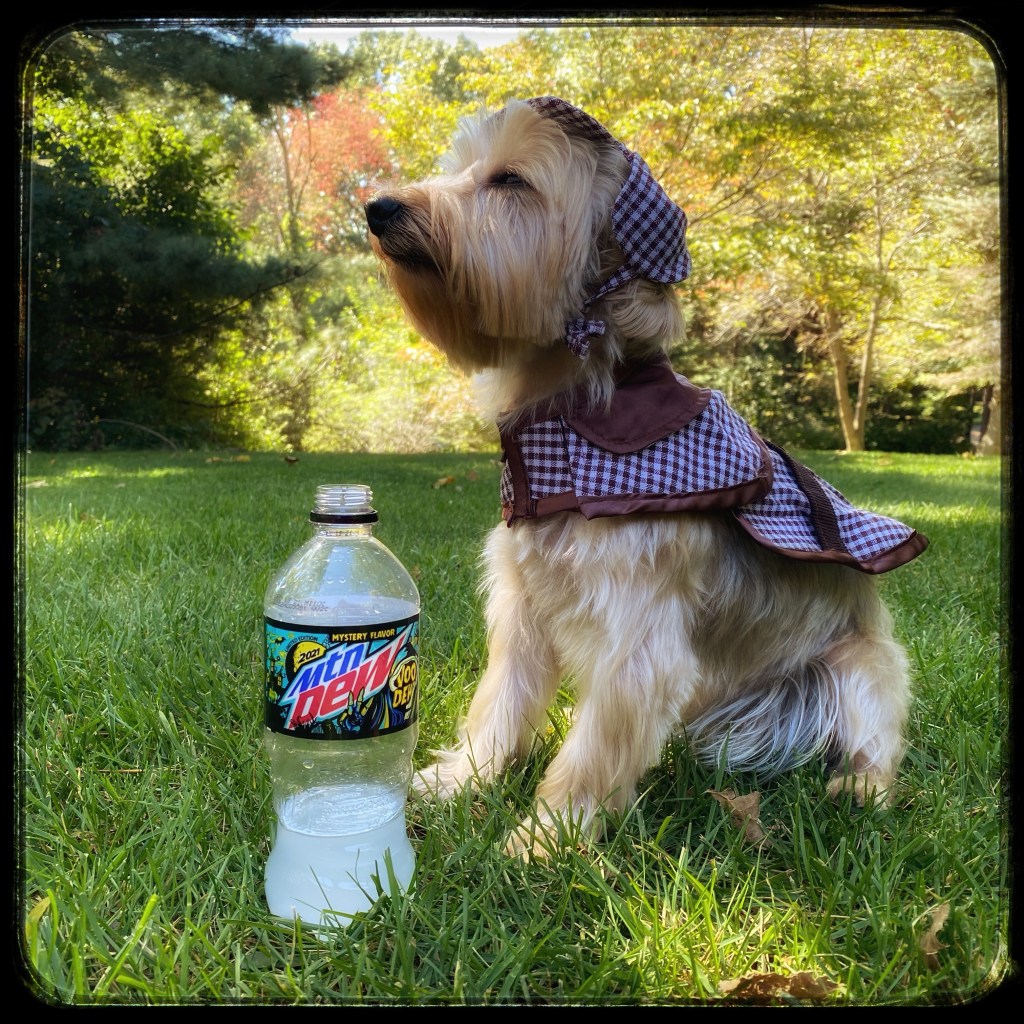 The Week In Seven&nbsp;Photos