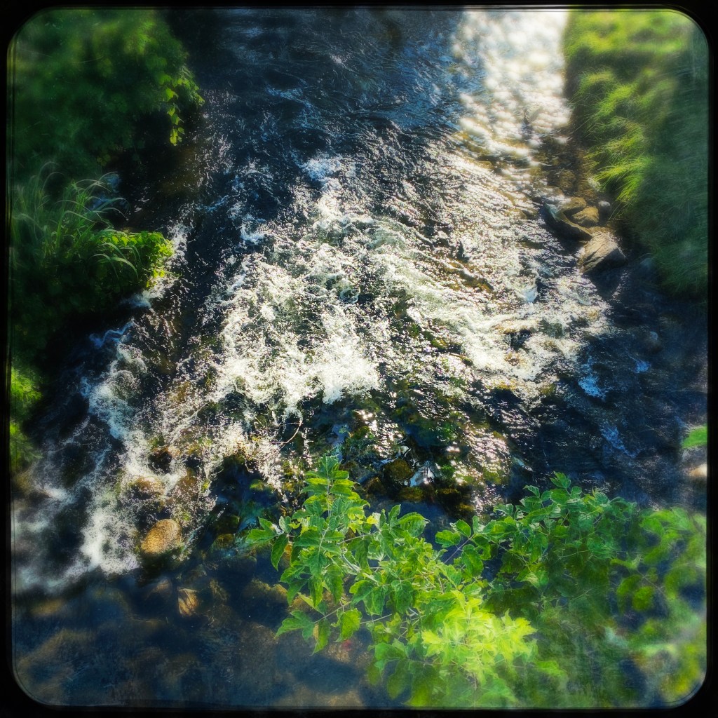 I Want Your Perfectly&nbsp;Imperfect