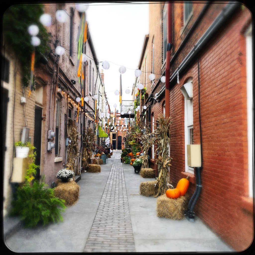 Got To Get Back To Something&nbsp;Simple