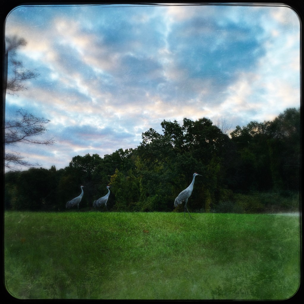 Blue Morning, Blue&nbsp;Day