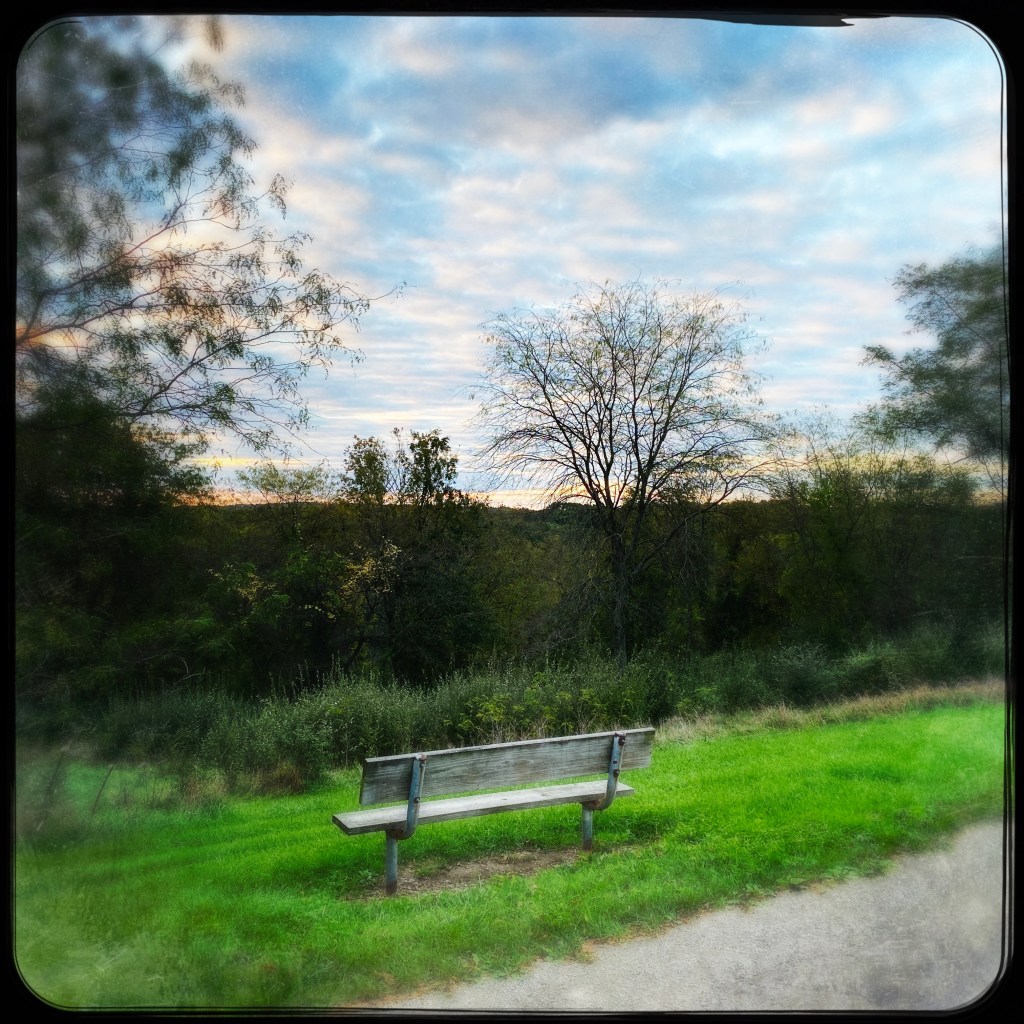 Park Bench