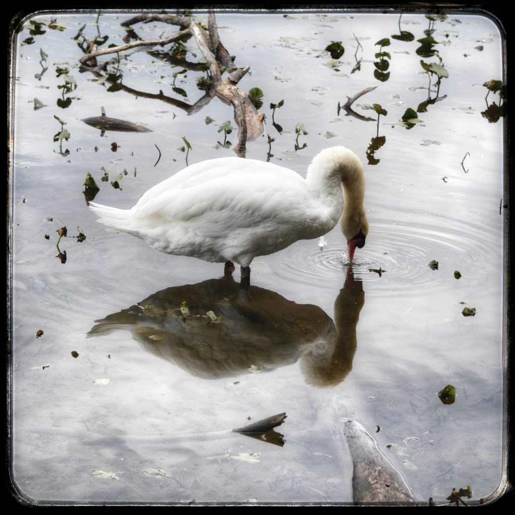 I Know There Is Hope In These Waters