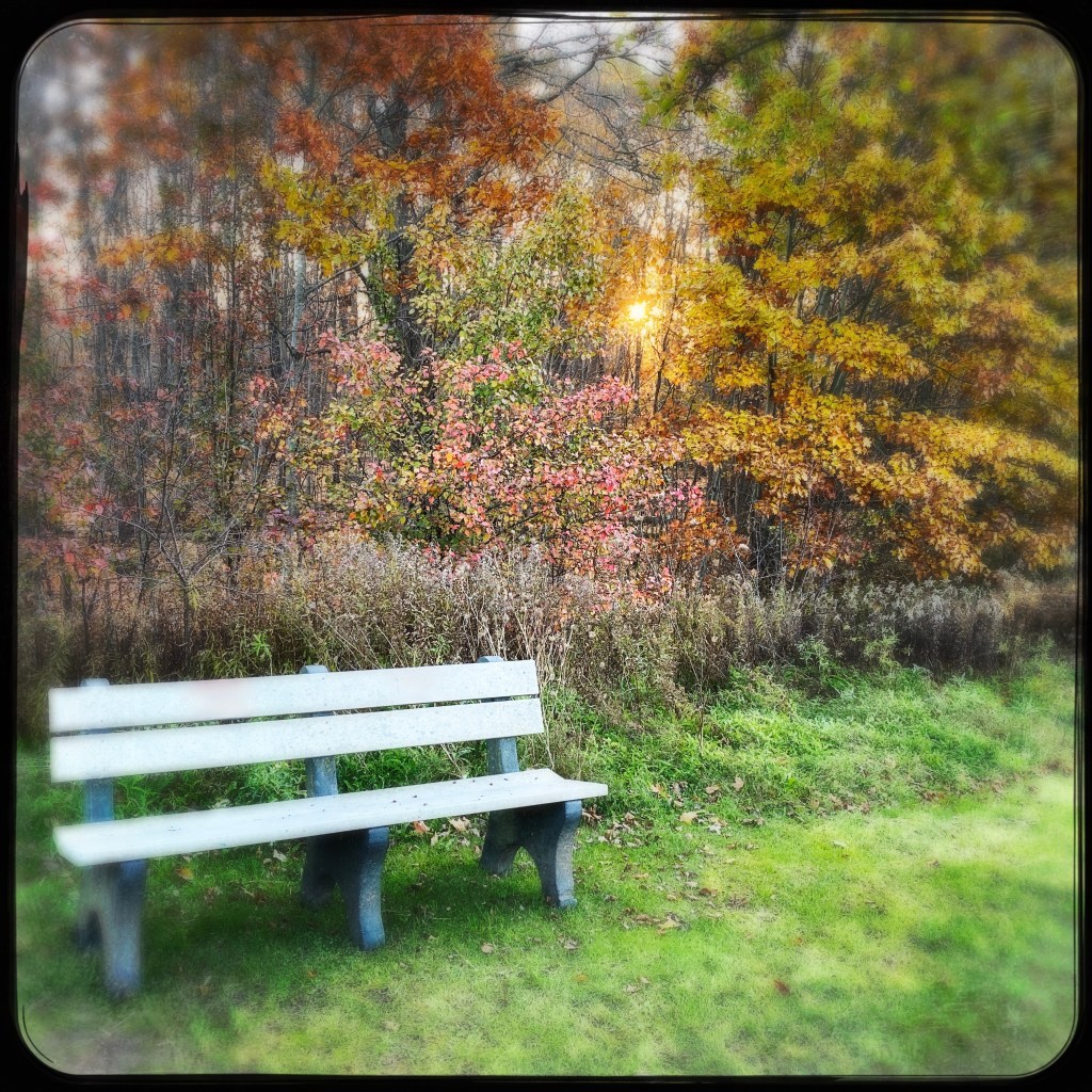 The Week In Seven&nbsp;Photos