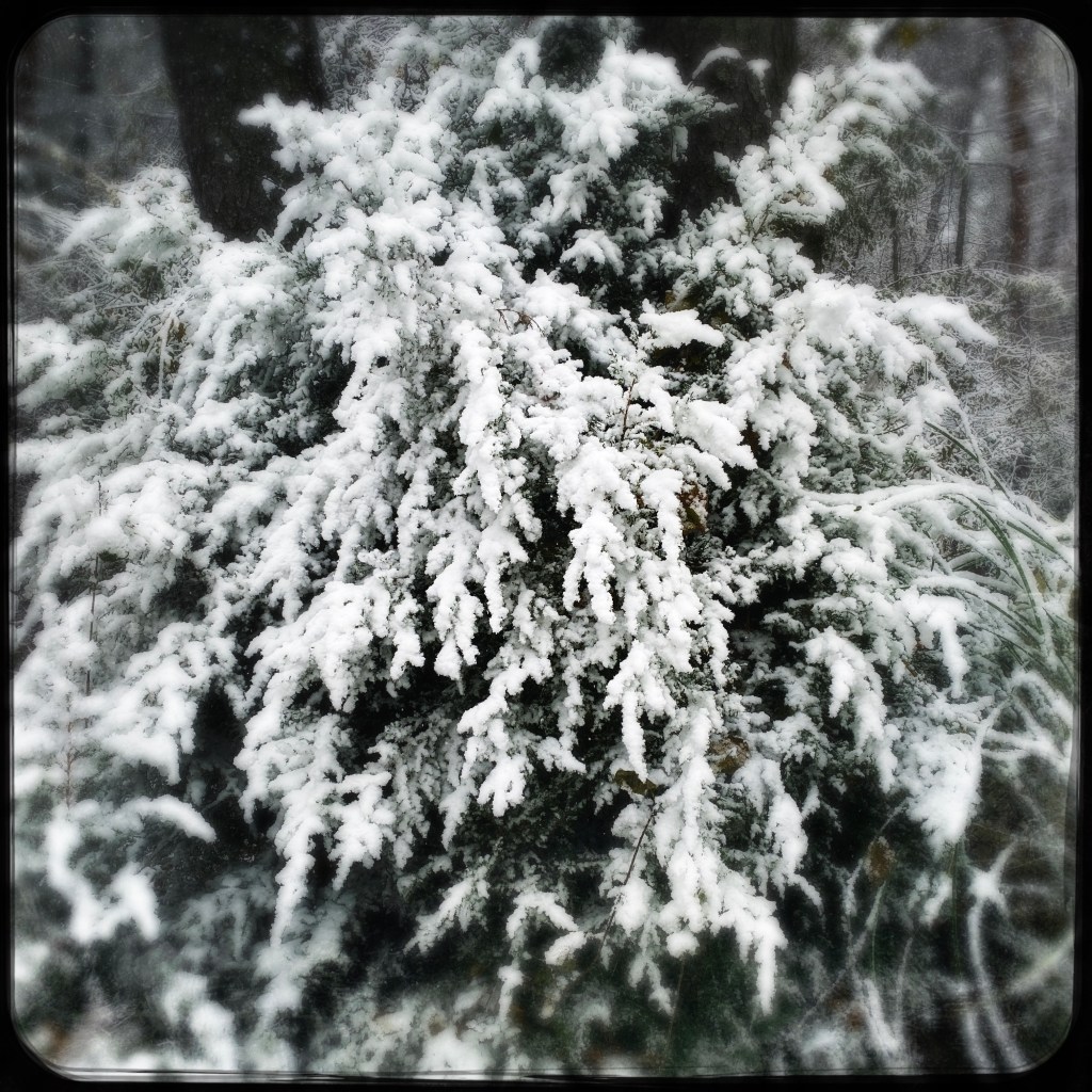 Let’s Begin The Season With An All-Time&nbsp;Favorite