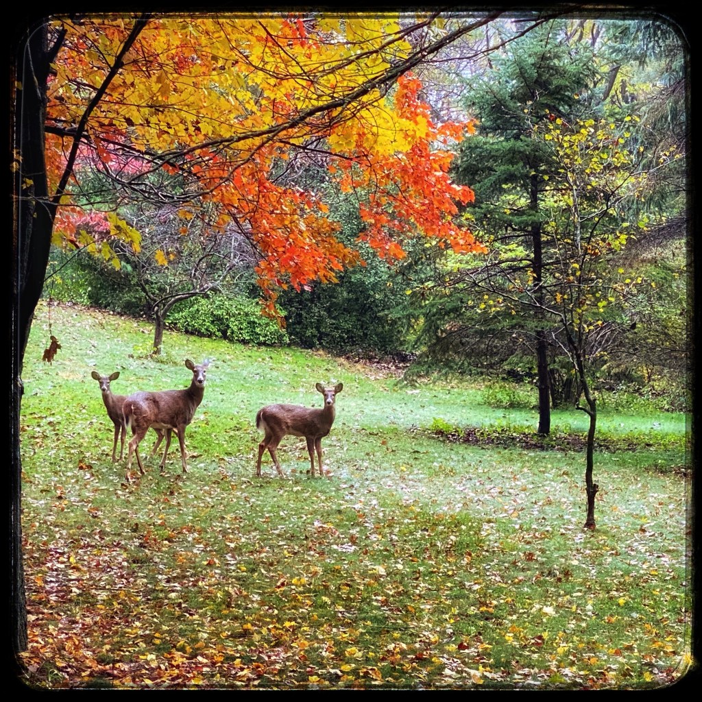 The Week In Seven&nbsp;Photos