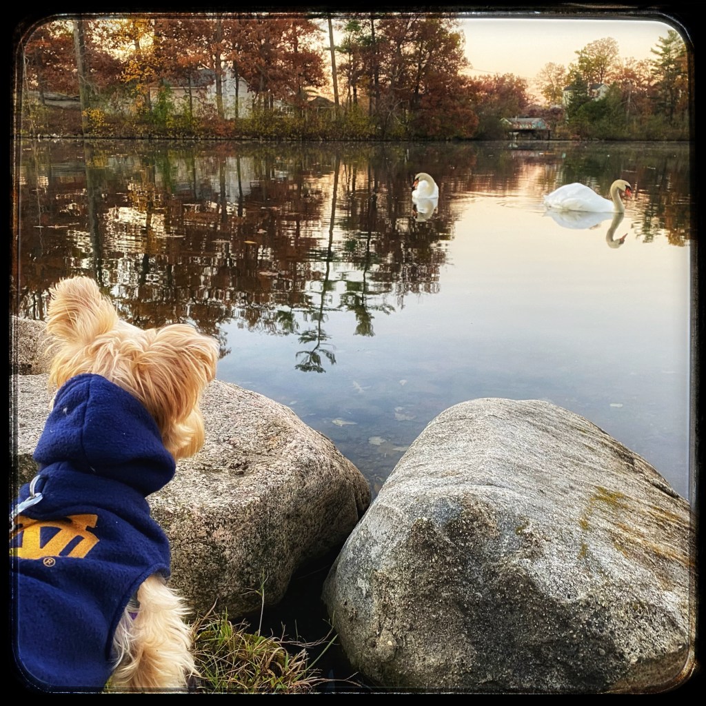 Come A Little Bit&nbsp;Closer