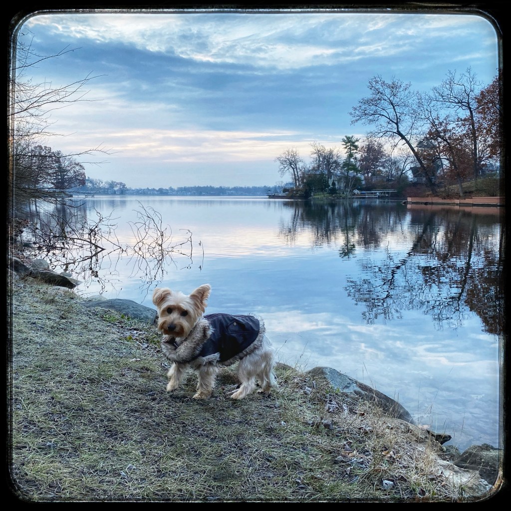 She’s Got The Look