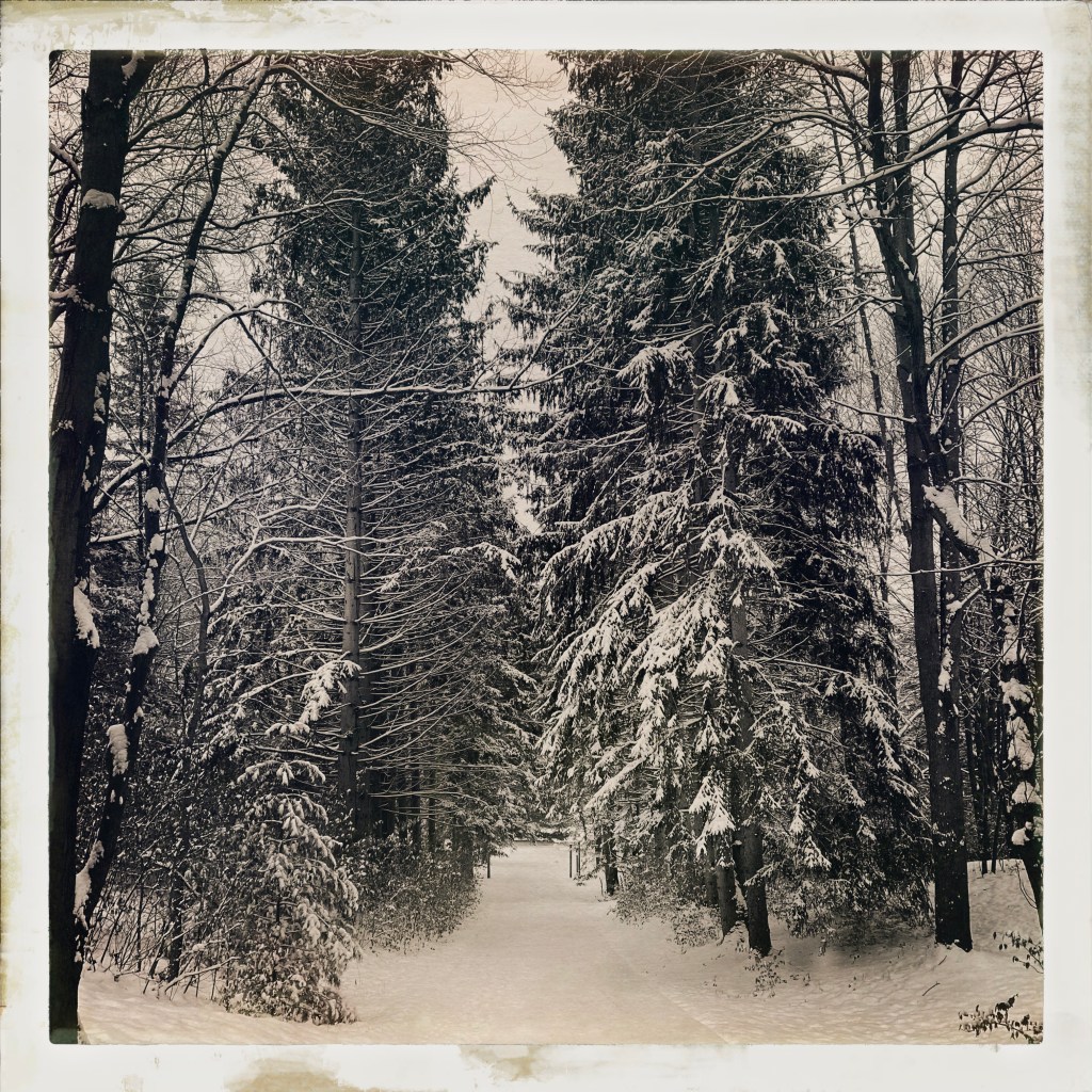 Waited All Year To Share My Favorite Christmas&nbsp;Song