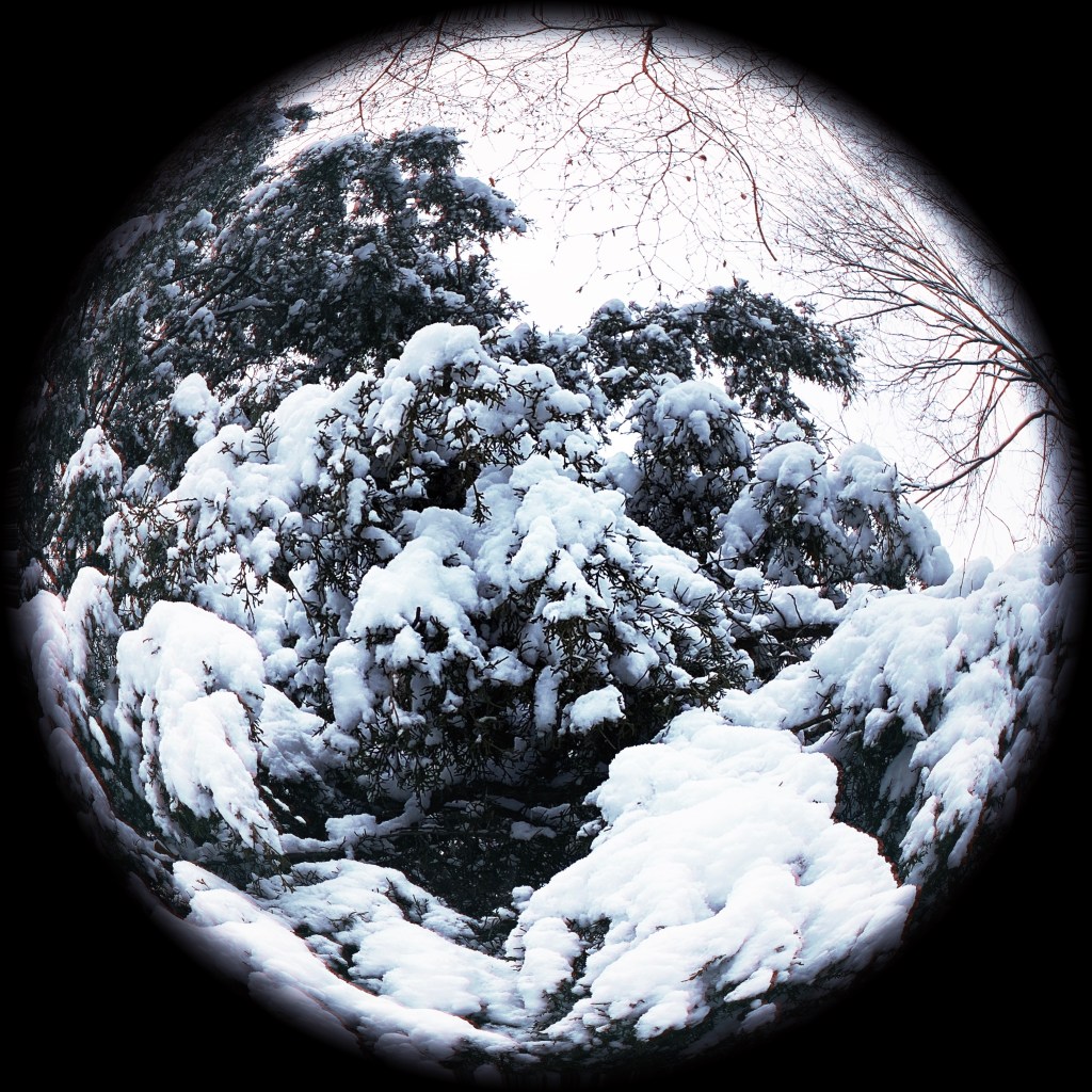 The Week In Seven&nbsp;Photos