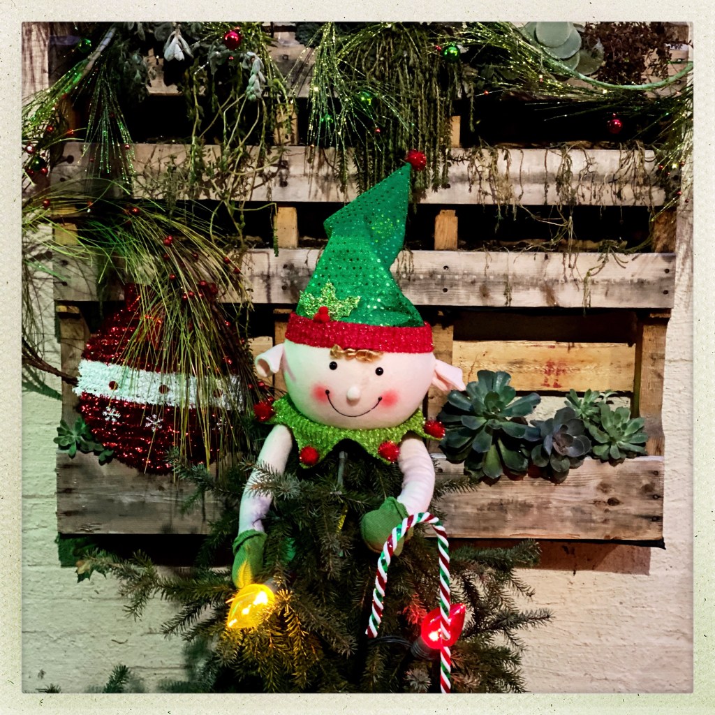 Made For The Young And The&nbsp;Old