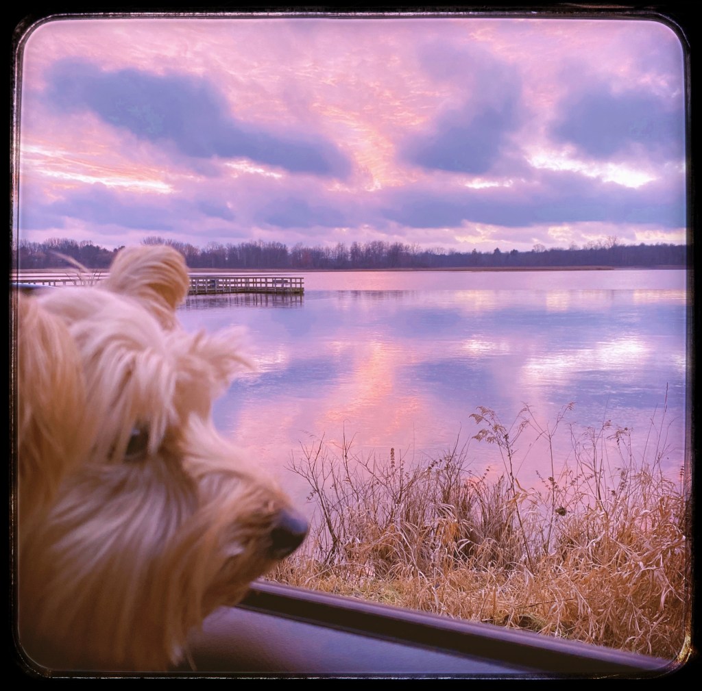 Wrap You In My&nbsp;Colors