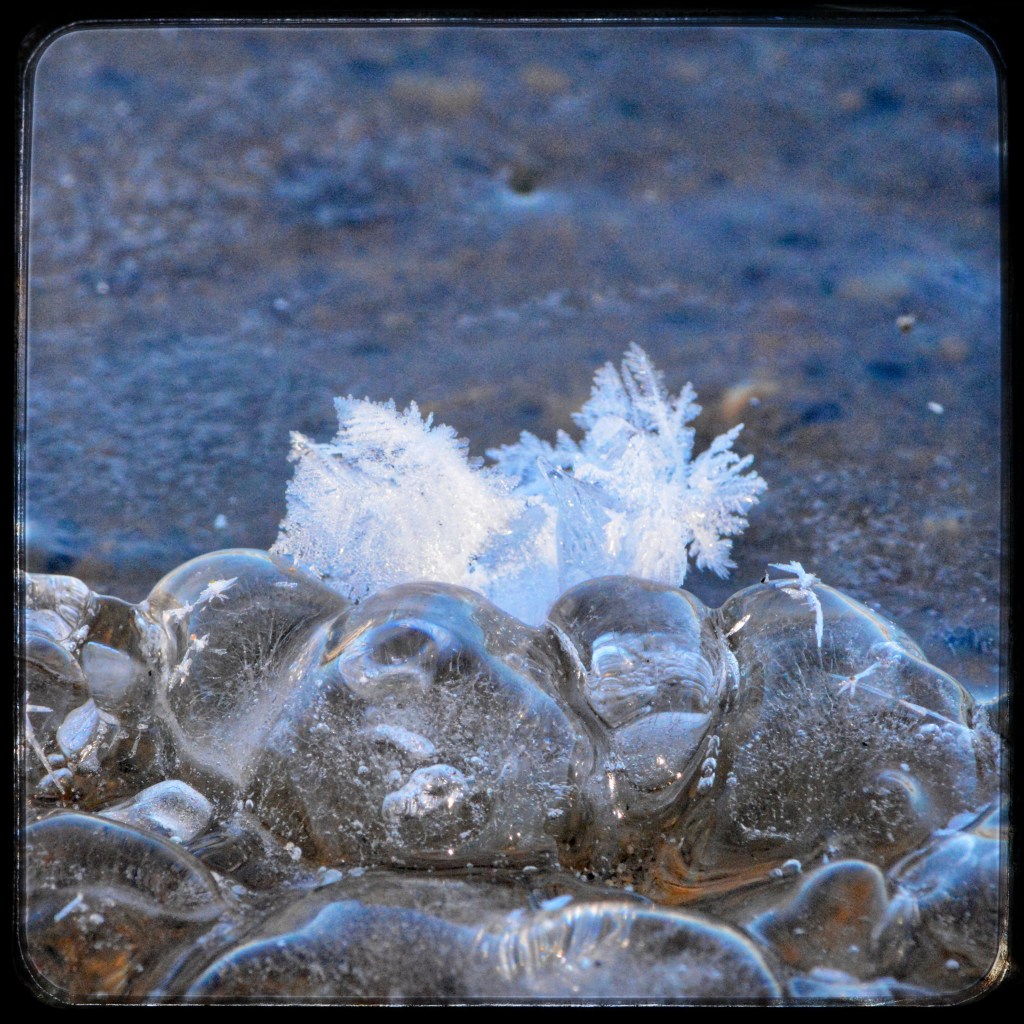 Winter Days And Good&nbsp;Books