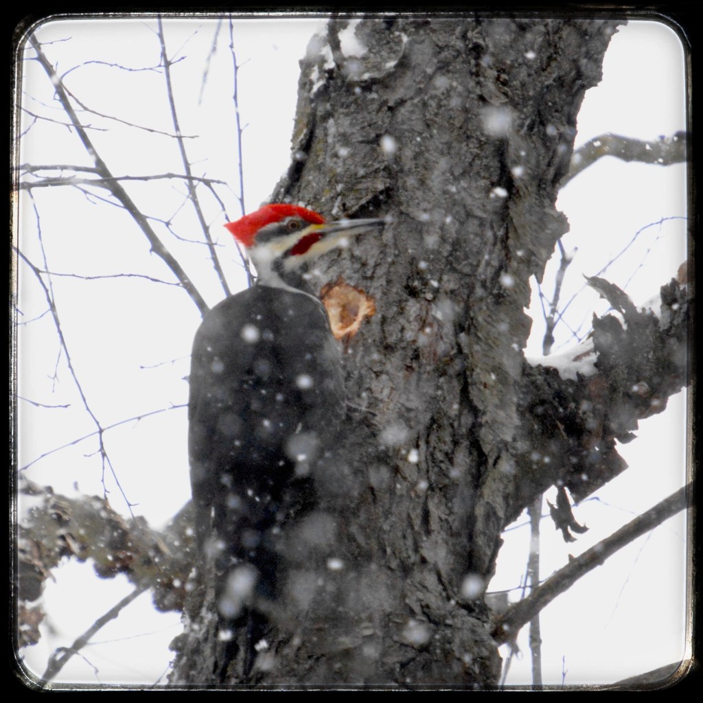 Favorites Of The&nbsp;Week