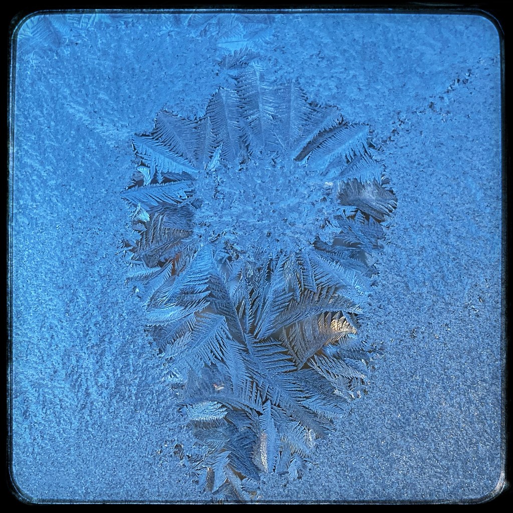 Winter Mornings And Good&nbsp;Documentaries