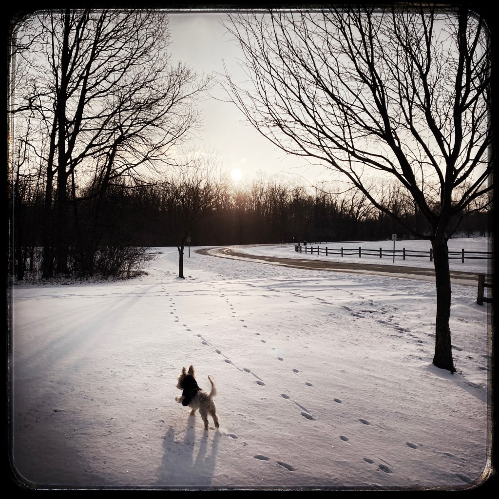 Winter Mornings And Good TV&nbsp;Shows