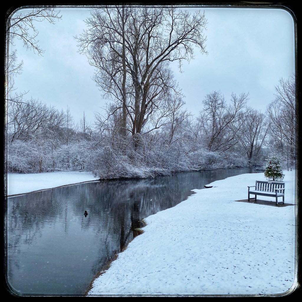 Another Snowy Silent&nbsp;Sunday