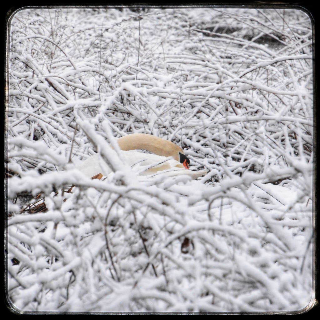 Don’t Discount The Small Things That Engage Your Heart In&nbsp;Hope