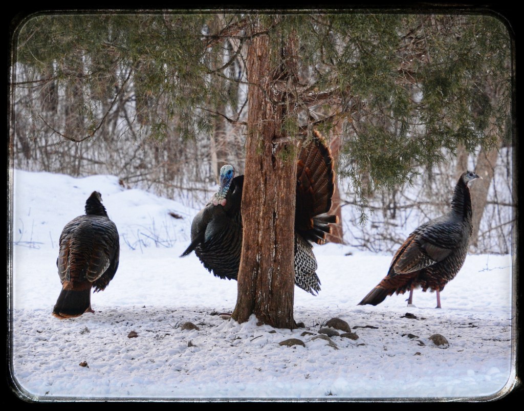 Thursday Tunes – Can’t Fight This&nbsp;Feeling