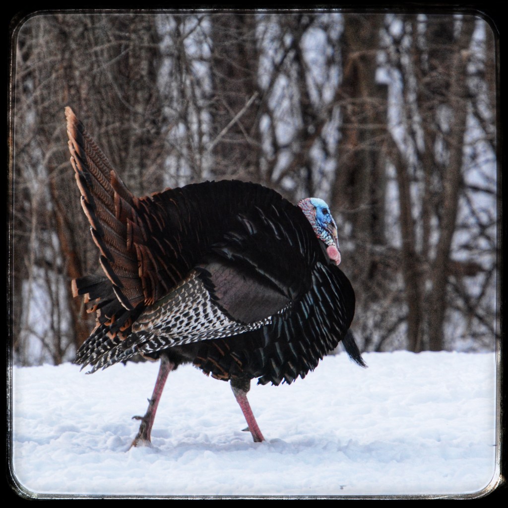 The Week In Seven&nbsp;Photos