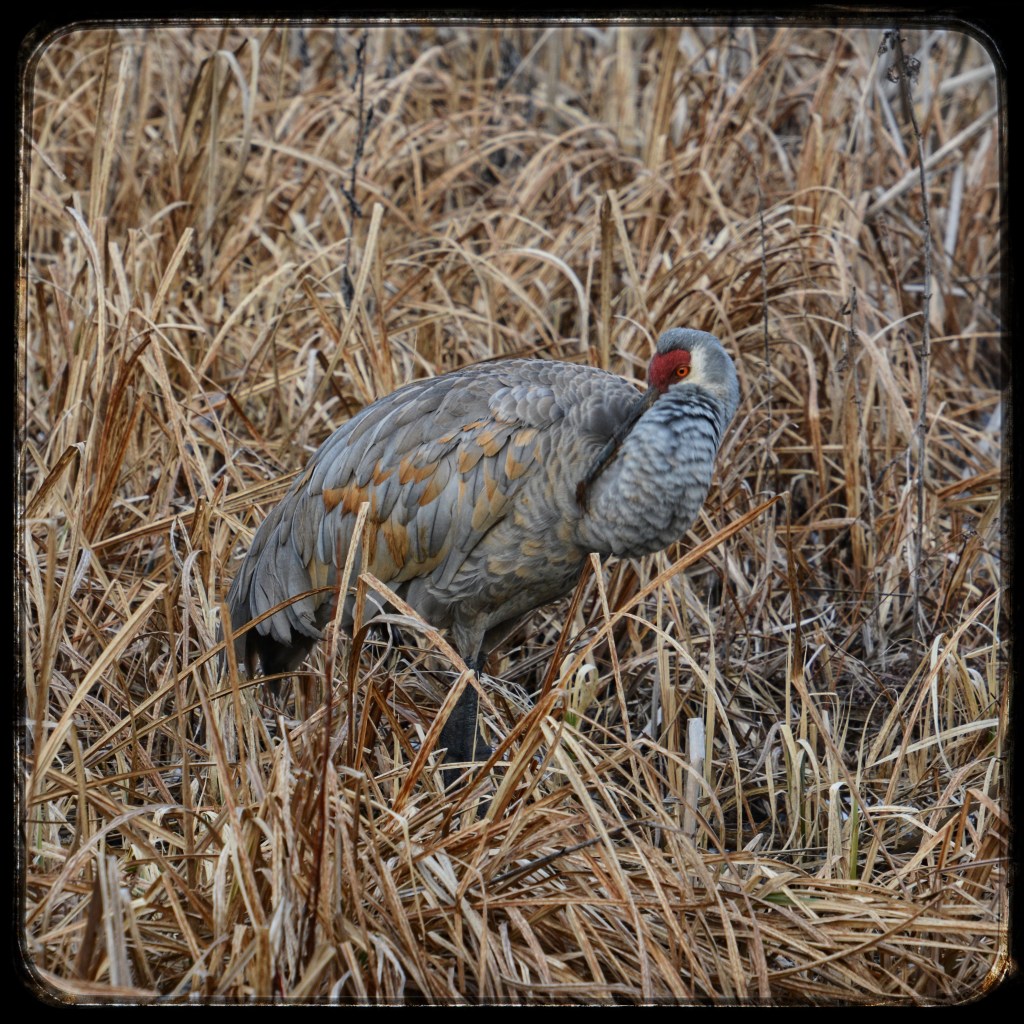 The Week In Seven&nbsp;Photos